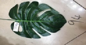 Artificial Flower Leaf Turtle Shell - 9400 (9352272017479)