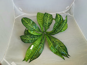 Large green 18 leaves - Pattern