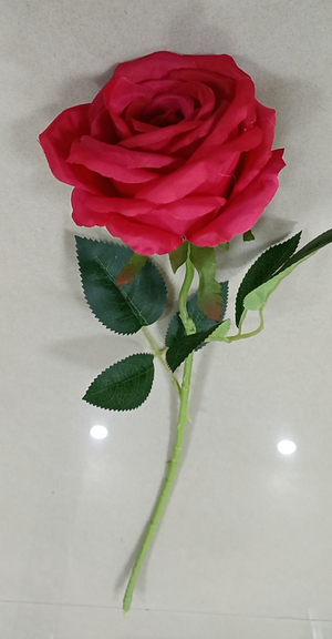 Single rose cz1026R