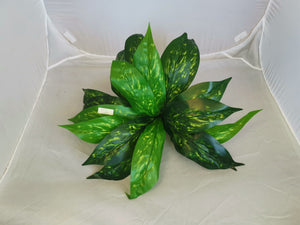 Large green 18 leaves - Vein